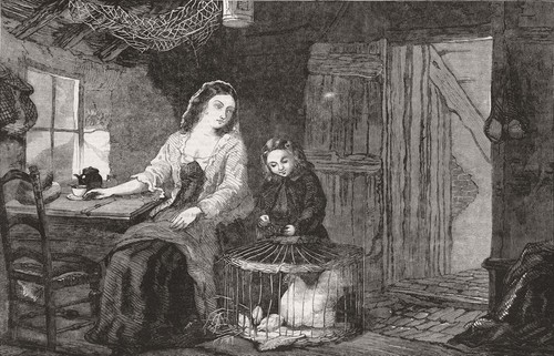 Children feeding the chicks - feeding,