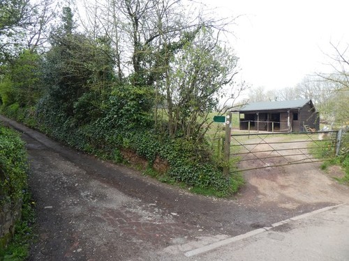 Photo 12x8 longbrook lane - 12x8,