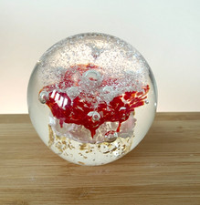 Clear glass paperweight with