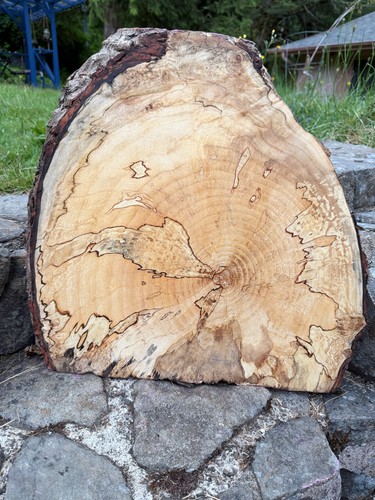 Birch live edge cookie - birch,