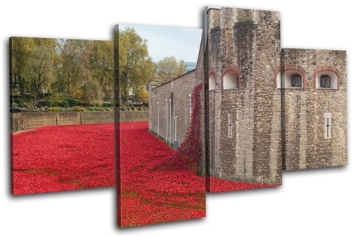 Tower london poppies city - of,