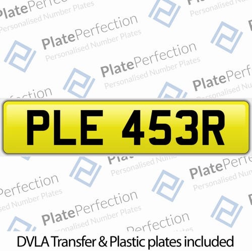 Ple 453r pleaser - 453r,