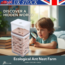 Ant house - ant, farm