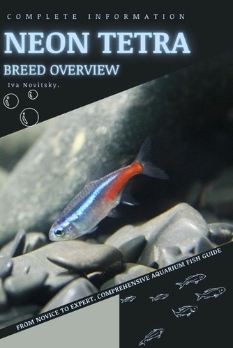 Neon tetra from novice - tetra:,
