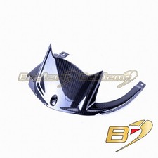 2011- 2025 Kawasaki ZX10R Rear