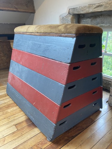 Vintage gym pommel - gym,