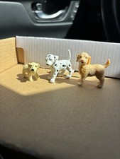 MIXED BREED PUPPY DOG LOT 3