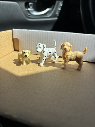 Mixed breed puppy - puppy, dog