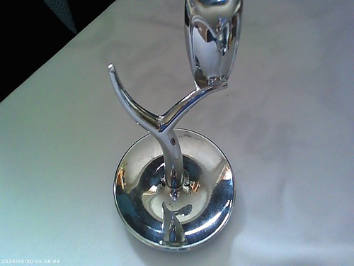 Next owl tree - next, "owl