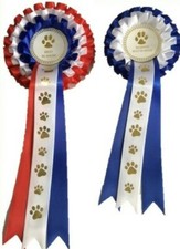 DOG SHOW ROSETTES -BEST IN