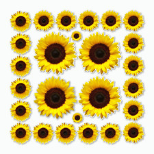 Sunflower stickers flower