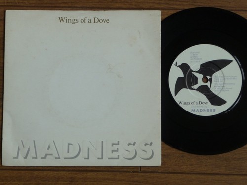 Madness wings a dove - -, of
