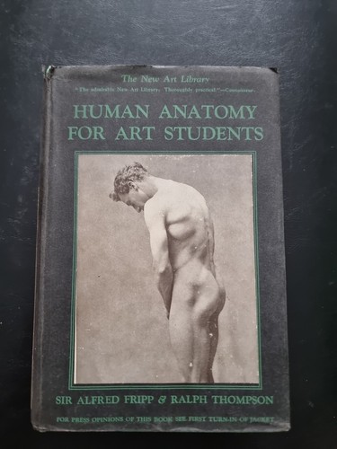 Human anatomy for - anatomy, art