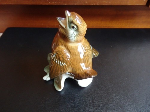 Karl ens baby sparrow - baby,
