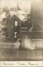 Bangor Maine ME Dead Bears