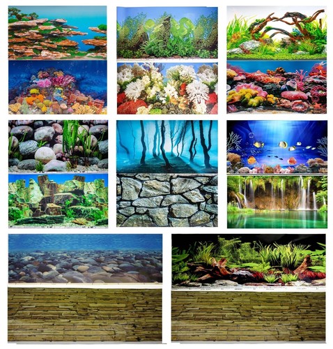 Aquarium fish tank background - fish,