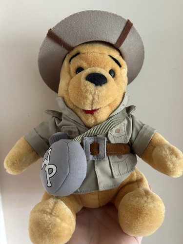 Winnie the pooh bear - winnie,