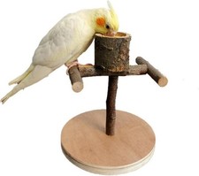 Bird Play Stand, Wooden Parrot