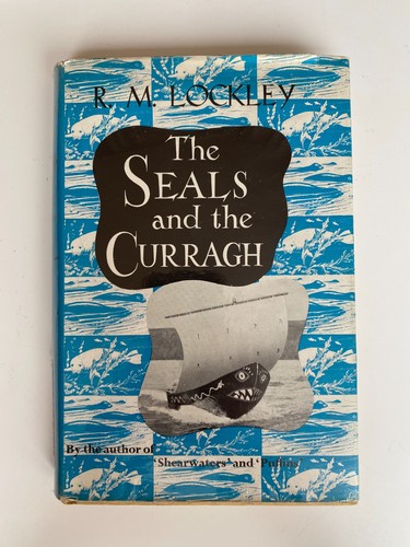 The seals and curragh - and,