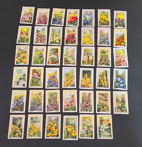 Gallaher wild flowers original - gallaher,