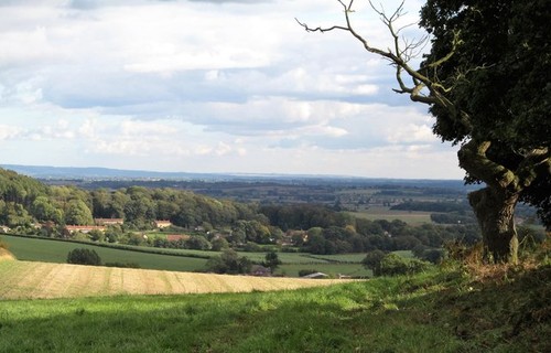 Photo 6x4 pasture land - photo,