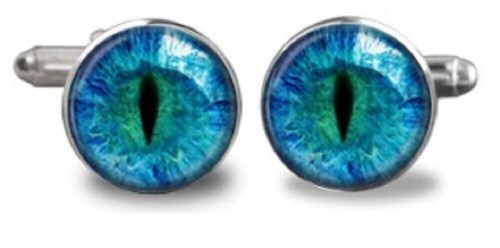 Pair silver and blue eye - and, iris