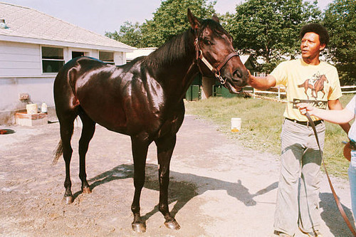 1970s champion race horse - 1970s,