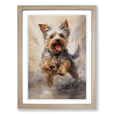 Yorkshire terrier action - yorkshire,