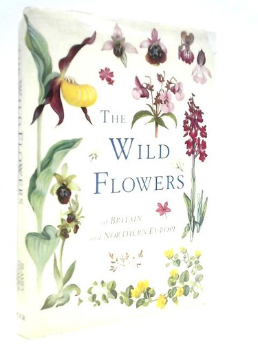 Wild flowers marjorie - wild,