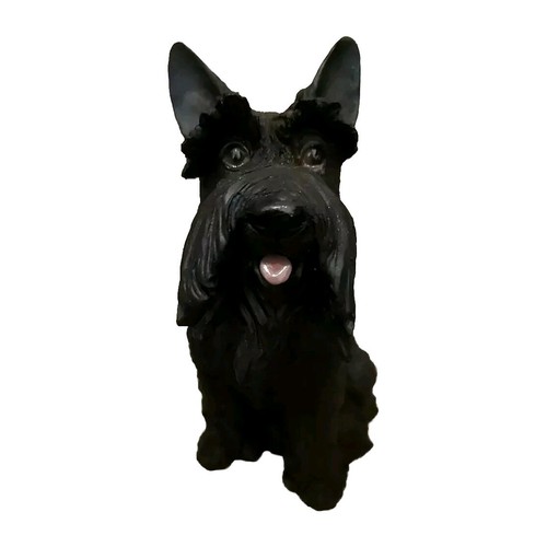 Scottish terrier black - terrier, best