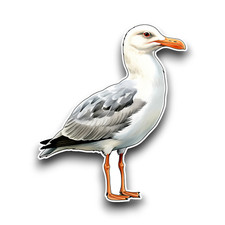 Seagull Bird Watercolour Vinyl