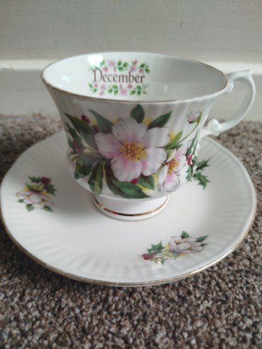 Elizabethan staffordshire - elizabethan,