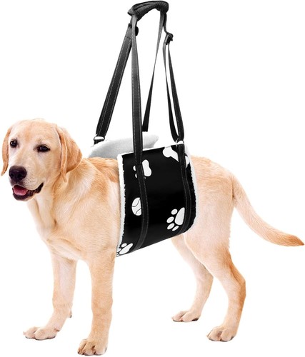 Dog lifting harness - dog,
