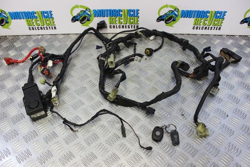 Yamaha 5vy wiring harness - 5vy,