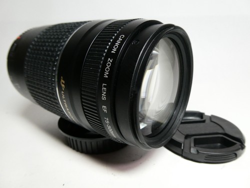 Canon 300mm 5 - canon, iii