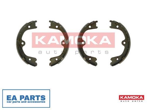 Brake shoe set parking - shoe,