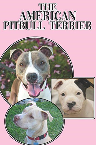 The american pitbull terrier - the,