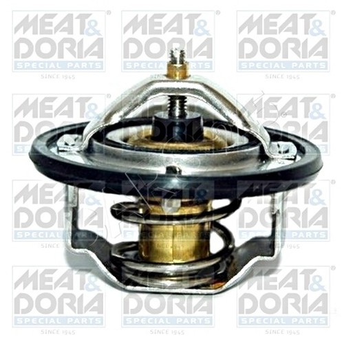 Coolant thermostat for nissan - coolant,