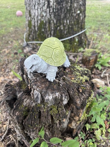 Happy turtle concrete - turtle, statue