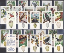 LAMBERTS (TEA)-FULL SET- BIRDS & THEIR EGGS 1962 (25 CARDS) EXCELLENT+++