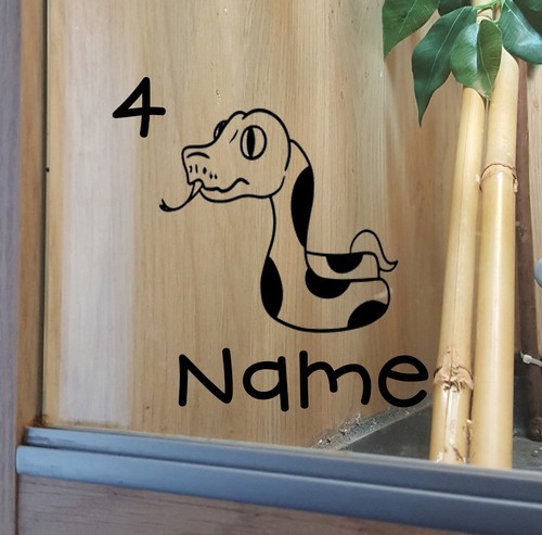Snake customised vivarium - customised,