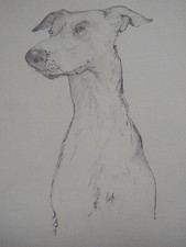 Original line & tonal pencil