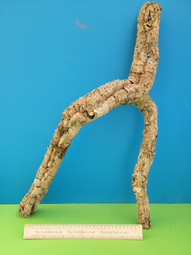 Cork bark branch - cork, snake