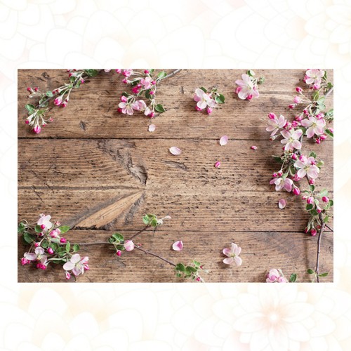 Photography background cloth - photography,