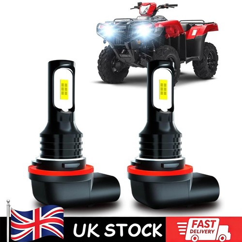 White head light bulb - white,