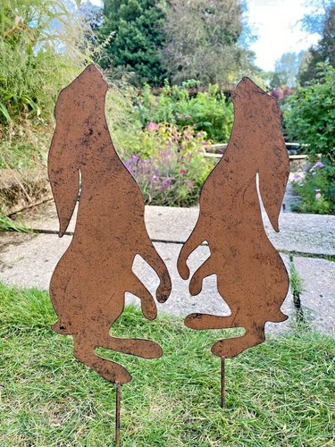 Moon gazing hare sheet steel - moon,