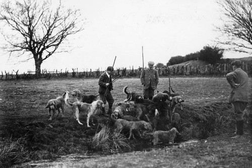 Dumfriesshire otter hounds - dumfriesshire,