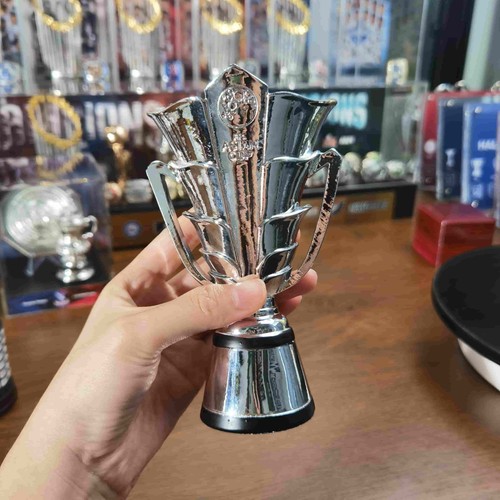 New version afc asian - version, cup