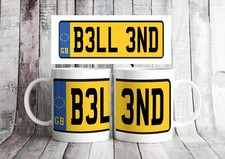Insult Number Plate Mug in