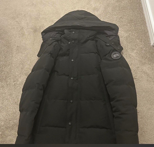 Canada goose arctic program - canada,